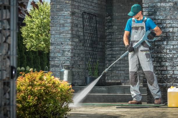 Best Soft Washing for Delicate Surfaces in Wakarusa, IN