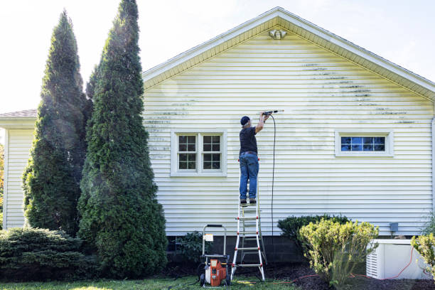 Best Roof Cleaning and Mildew Removal in Wakarusa, IN
